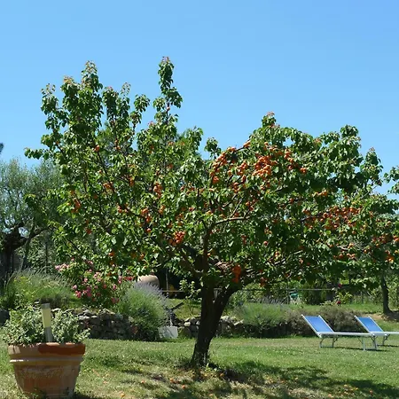 For 2 Διαμέρισμα